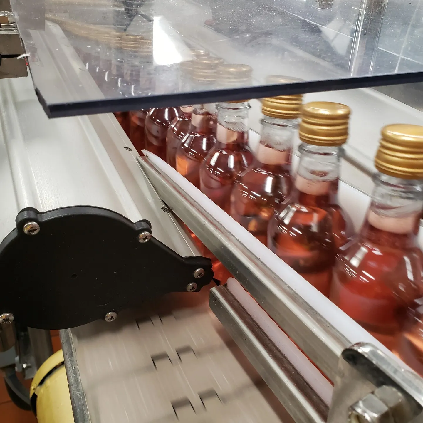Bottles moving through a production line beneath an industrial air knife.