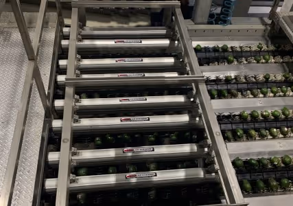 Avocado drying production line
