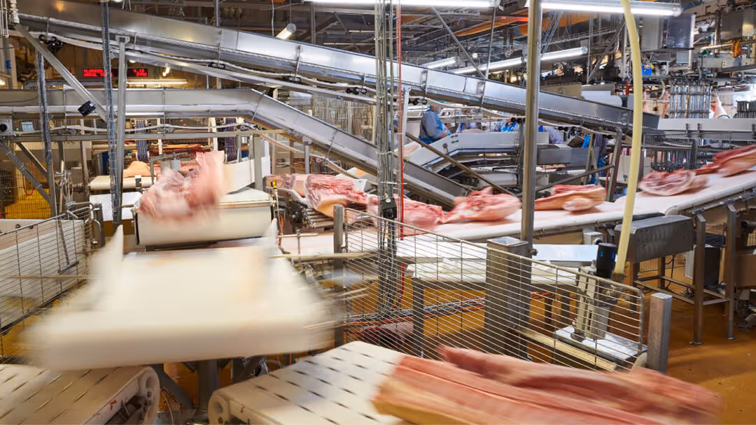 Dual air knife systems for temperature control and debris blow-off