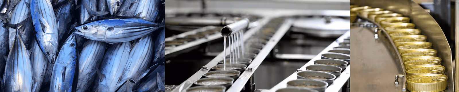 Achieving Optimal Dryness & Quality with Air Knife Can Drying Systems for Tuna Cans Worldwide