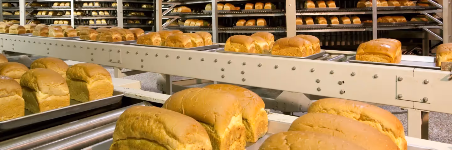 Food, nutraceutical, and pharmaceutical production line