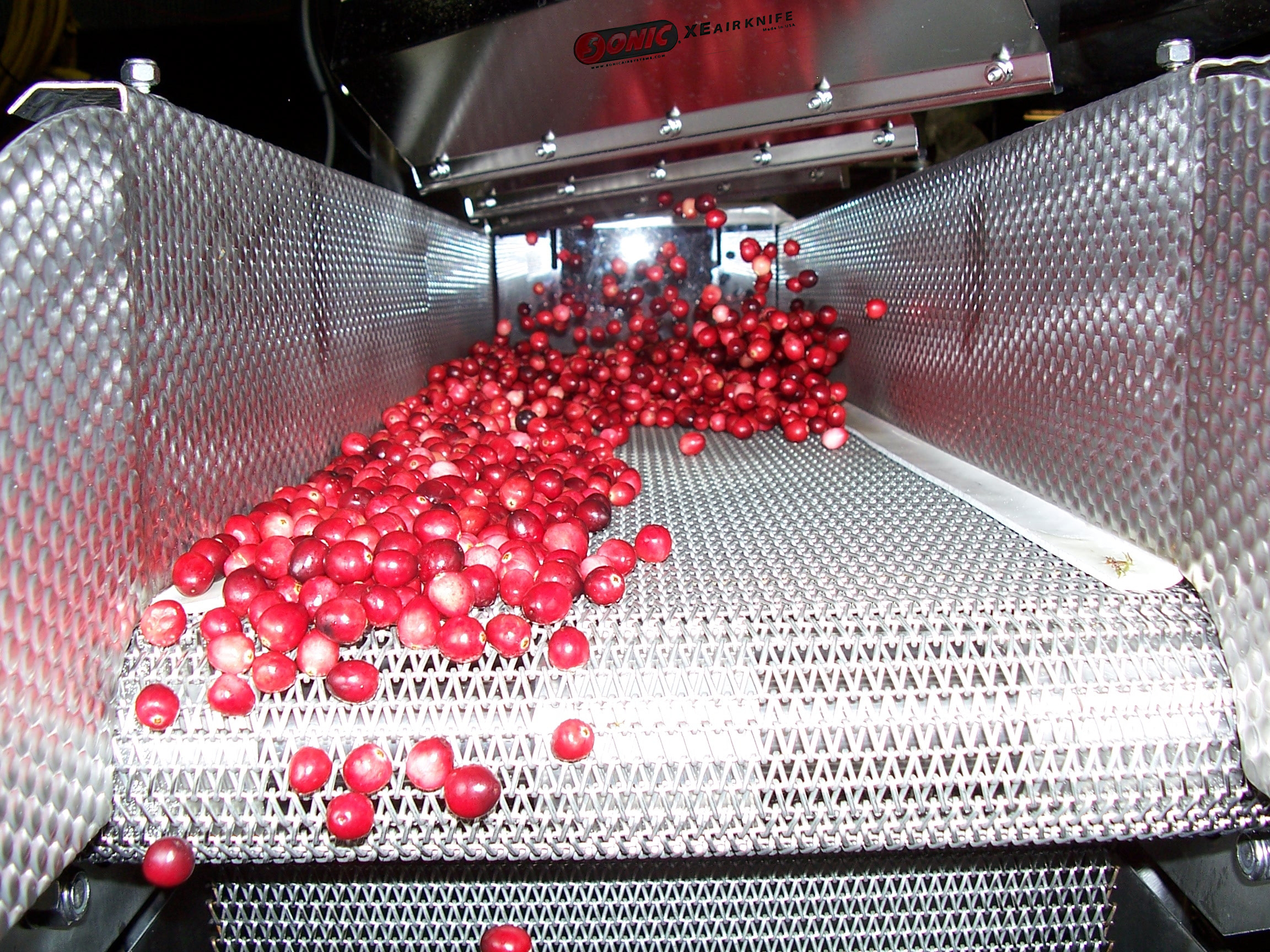 Cranberries moving through a Sonic air knife drying system