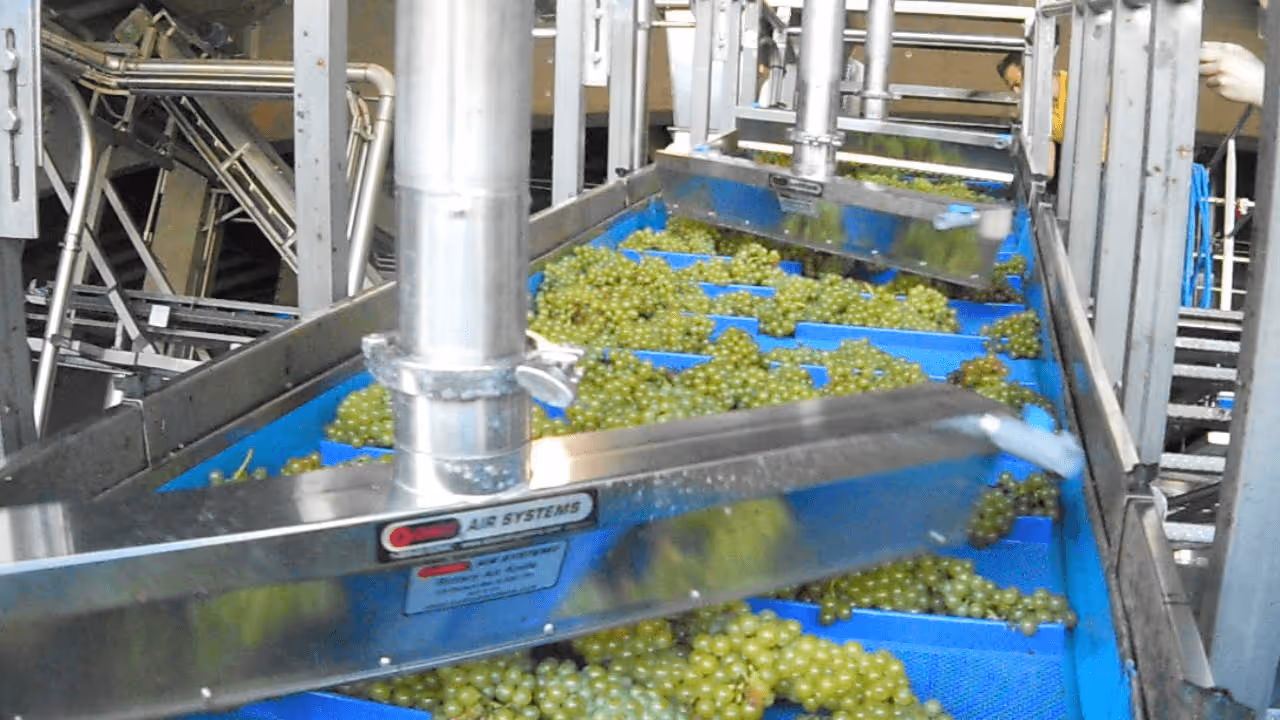 Fruit Washing