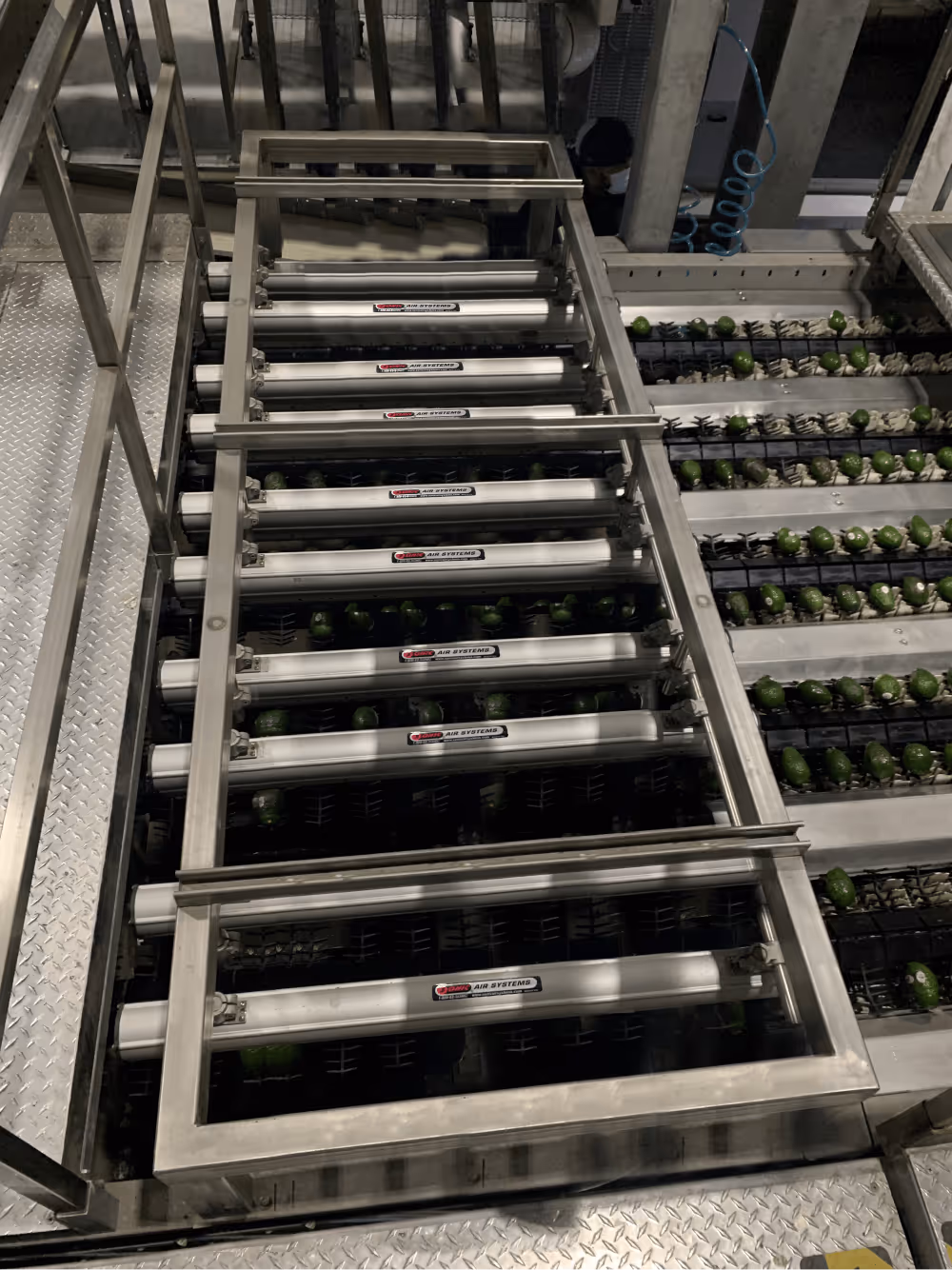 Fruit Drying